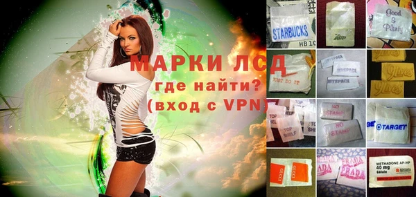 apvp Алзамай
