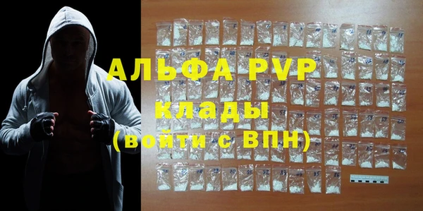 стаф Алексин