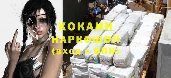 стаф Алексин
