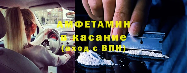 индика Алексеевка
